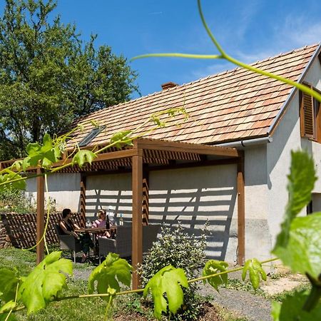 Tagyon Birtok Mandula Apartmanhaz Zewnętrze zdjęcie